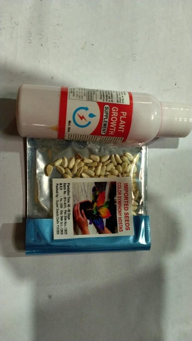 Color Symphony Hosta Seeds with Plant Growth Serum (Pack of 20) – Vibrant Decorative Plants